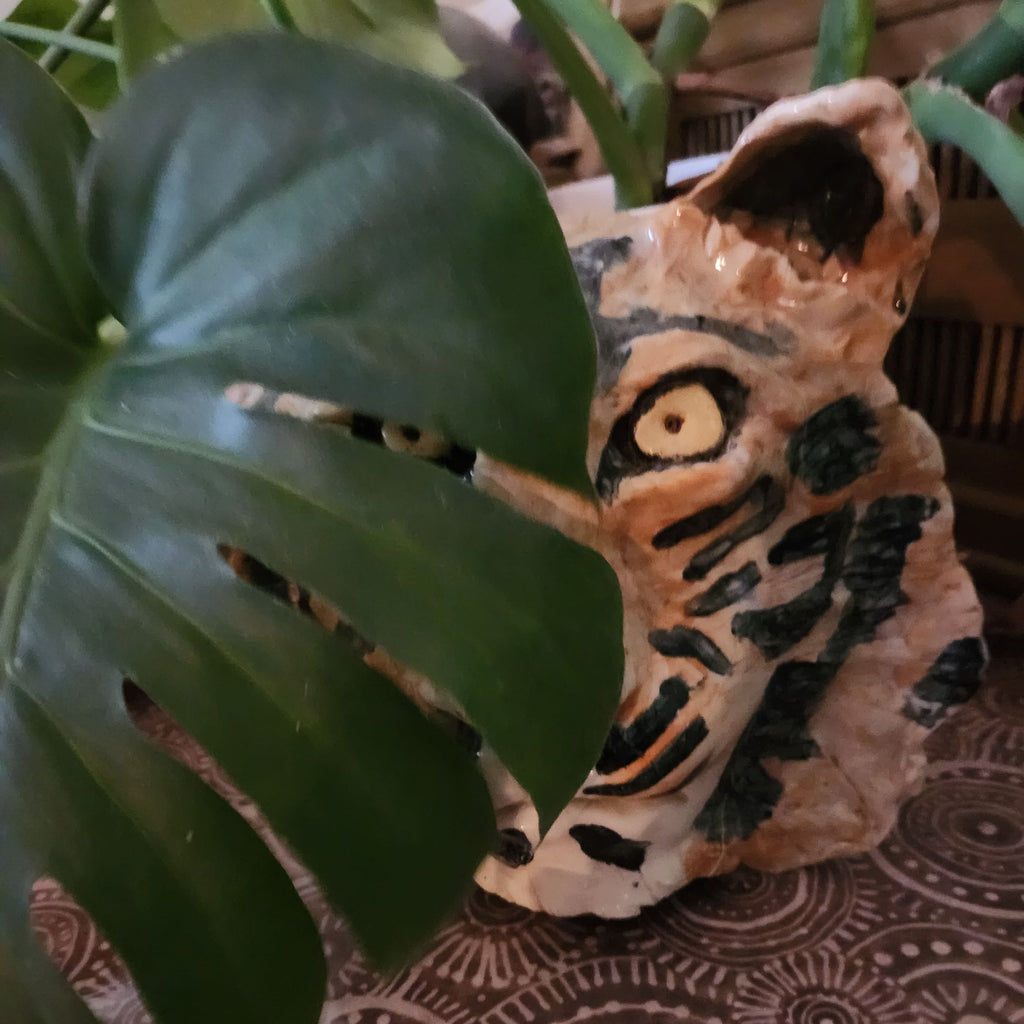 Tiger's Eye (formerly Red Dirt Road)